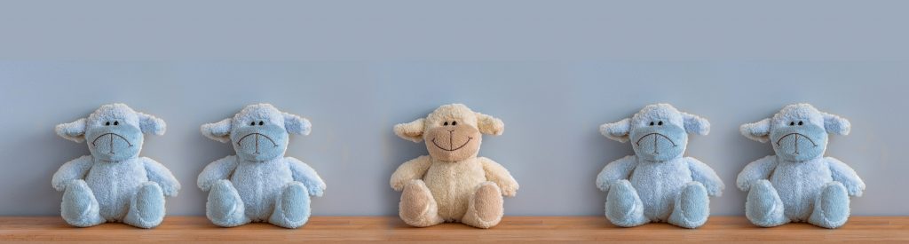 STP - Segmentation - Targeting